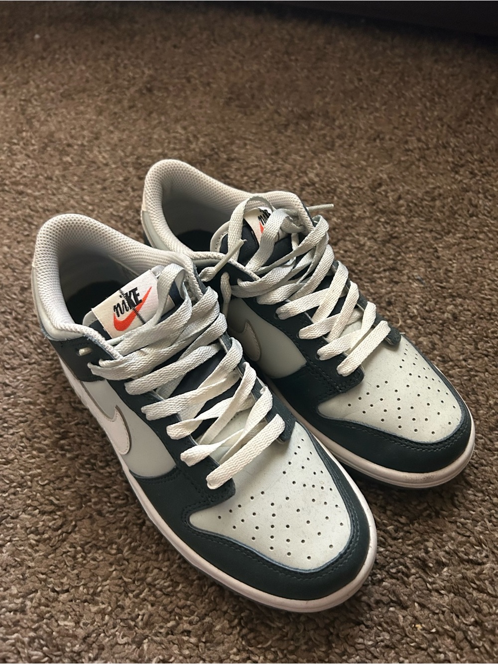 Low Nike dunks premium deep jungle